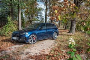 Audi SQ7 TDI 2019 года  (WW)